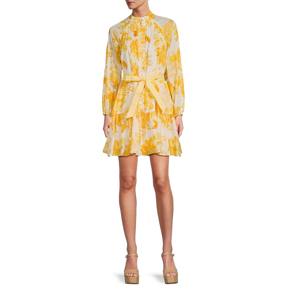 Antonio Melani
Brynn Printed Cotton Voile Mock Neck Long Sleeve Dress XS
